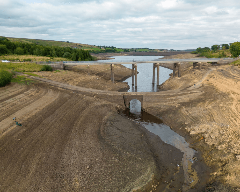 Drought: Future Threats to&nbsp;Forests